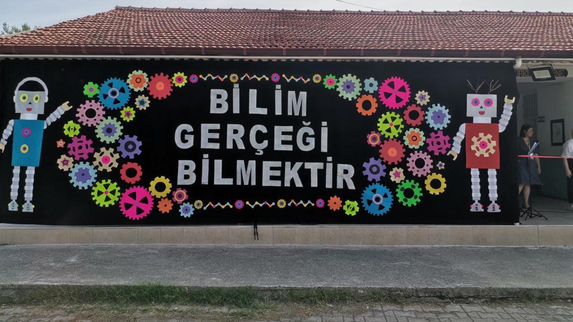 4006 TÜBİTAK 